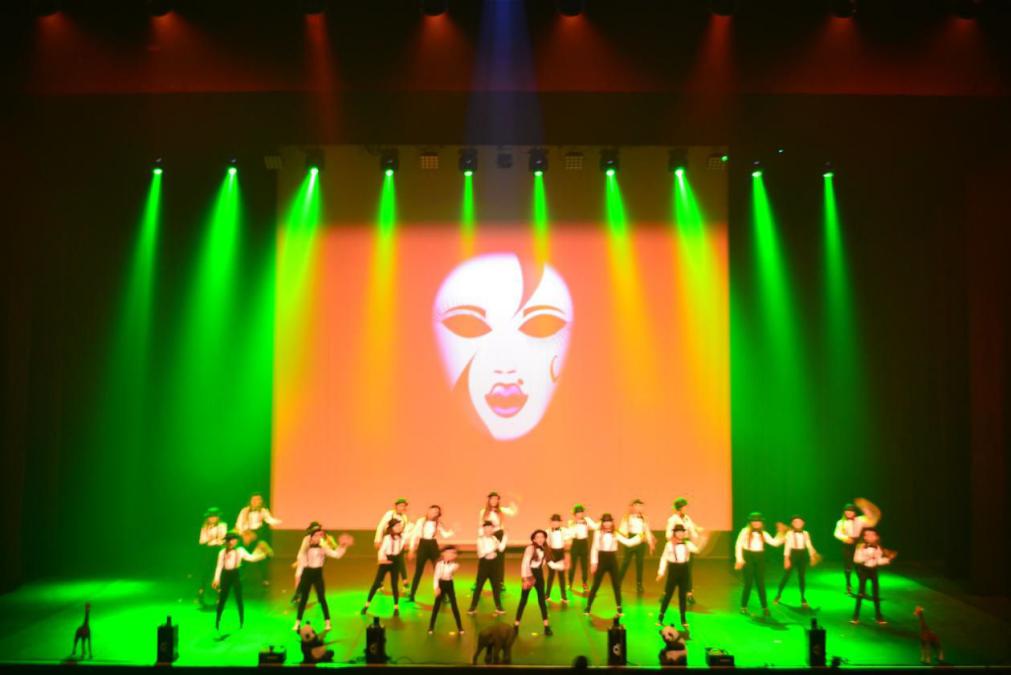 omega smoke systems, pro hazer co2, prosmoke 700,